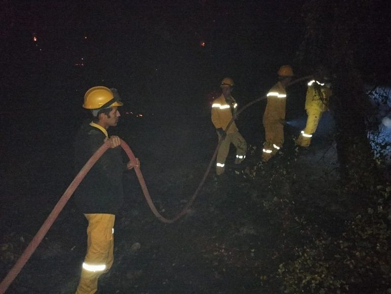 Muğla'nın Ula ilçesinde orman yangını! Rüzgar etkisini artırdı... Yerleşim yerleri tehdit altında... 5