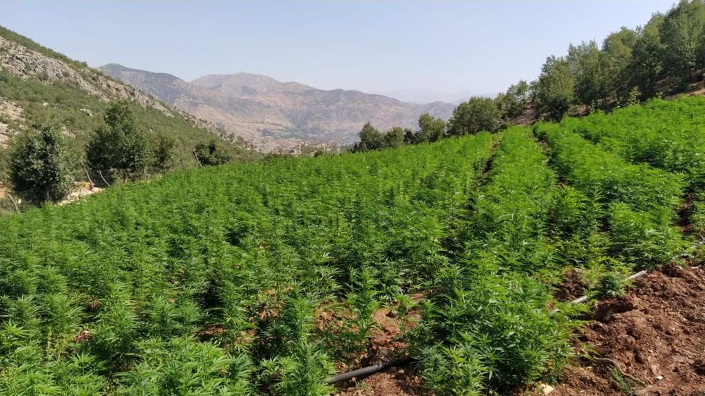 Zehir tacirlerine dev operasyon: 140 milyar lira yasa dışı gelir engellendi! 3