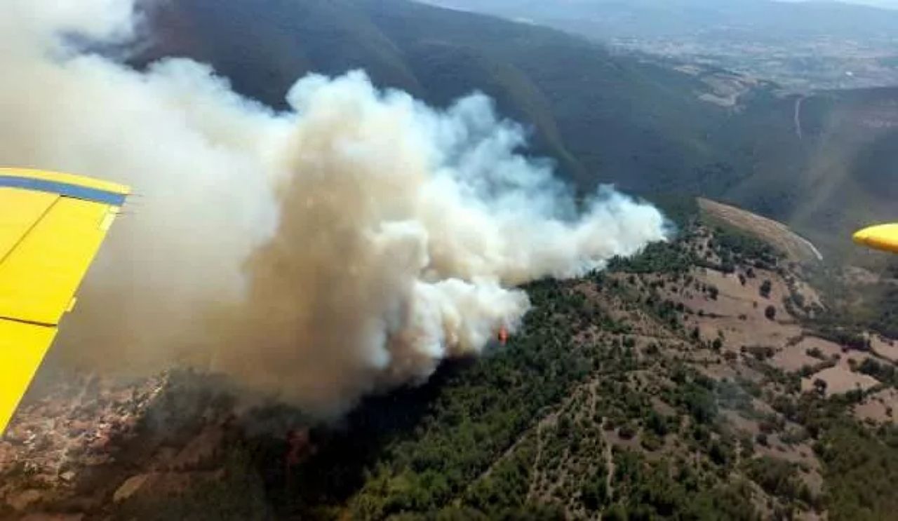 Balıkesir'de orman yangını: Havadan ve karadan müdahale ediliyor! 1