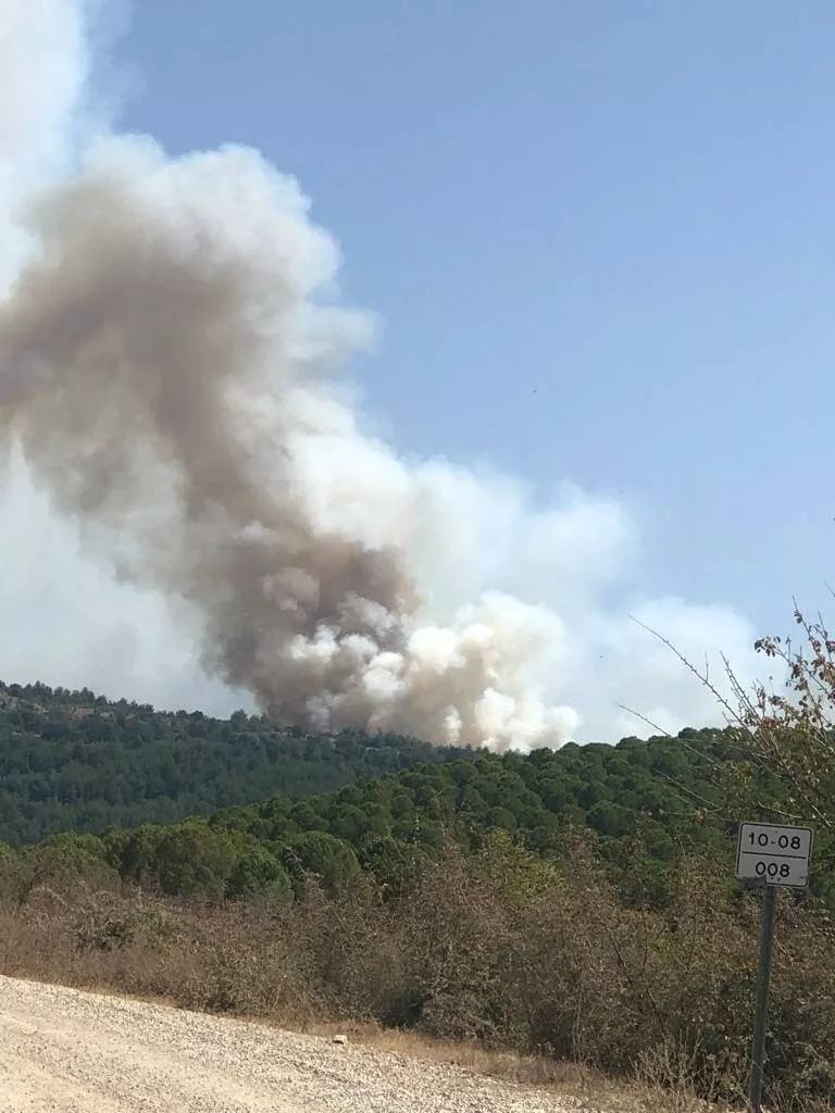 Balıkesir'de orman yangını: Havadan ve karadan müdahale ediliyor! 2
