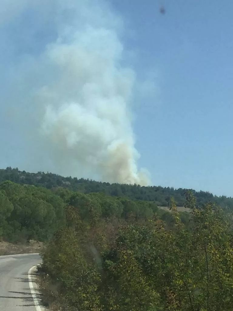 Balıkesir'de orman yangını: Havadan ve karadan müdahale ediliyor! 5