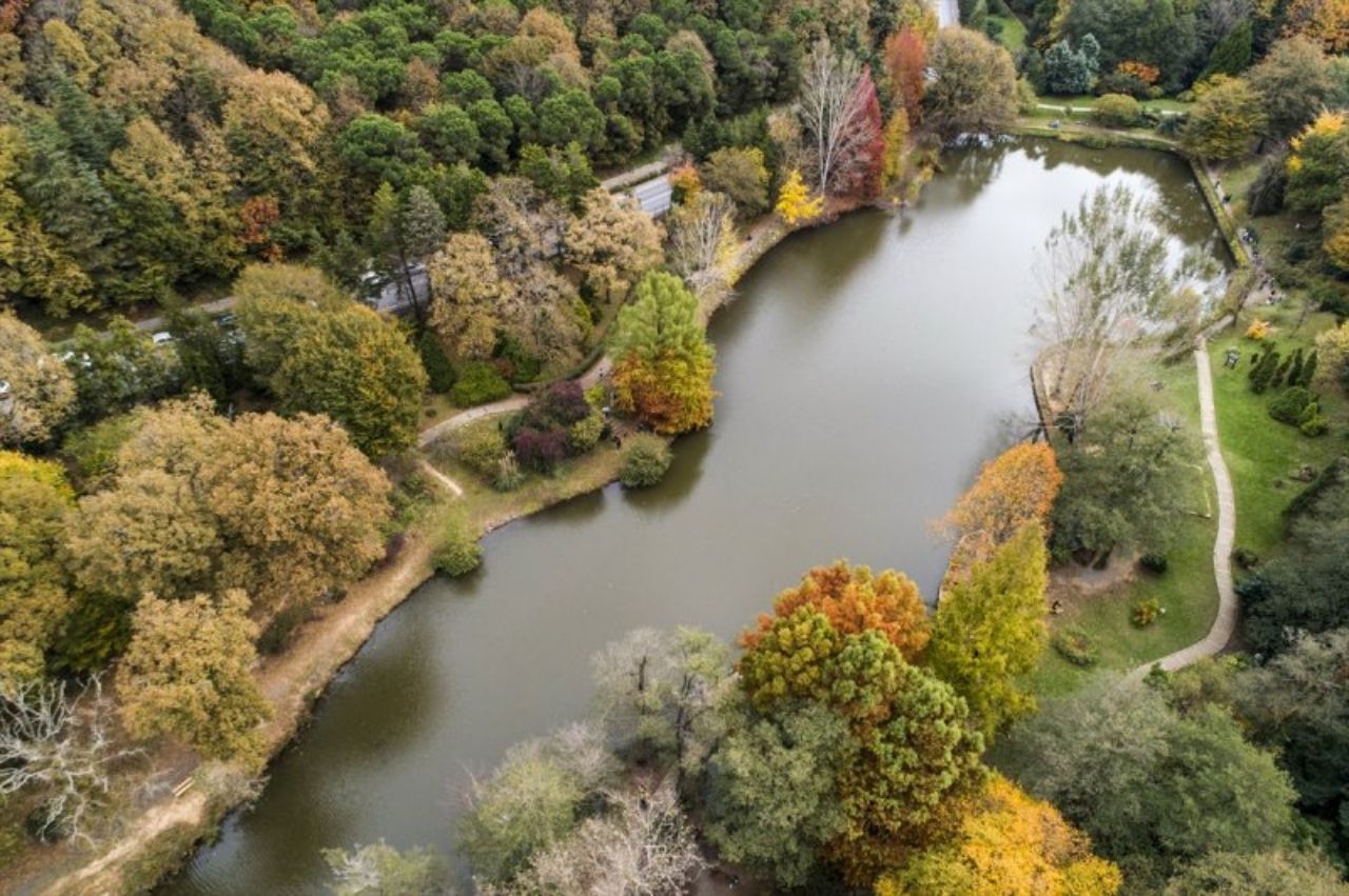 Sonbahar’ın en güzel renkleri: Atatürk Arboretumu 3