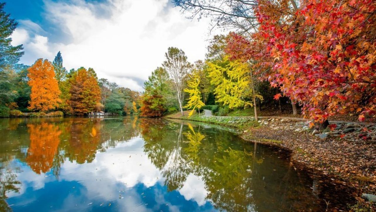 Sonbahar’ın en güzel renkleri: Atatürk Arboretumu 2