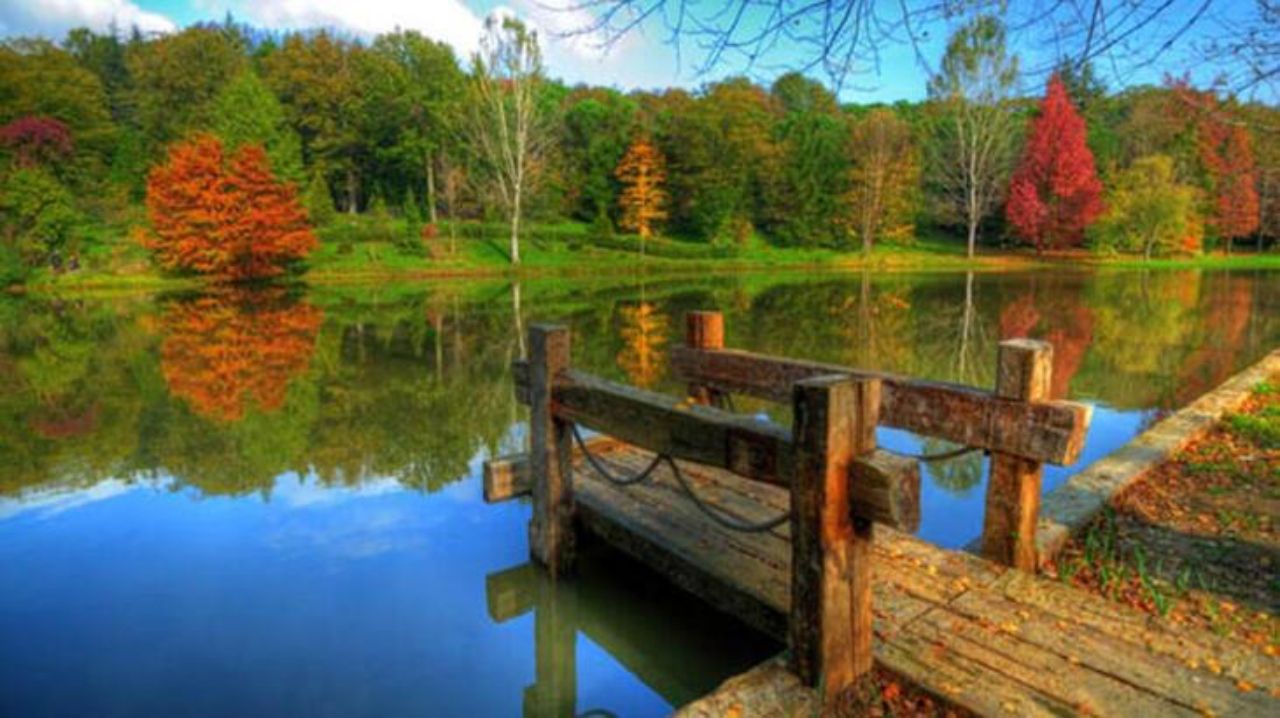 Sonbahar’ın en güzel renkleri: Atatürk Arboretumu 1