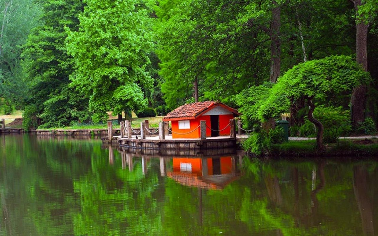 Sonbahar’ın en güzel renkleri: Atatürk Arboretumu 4