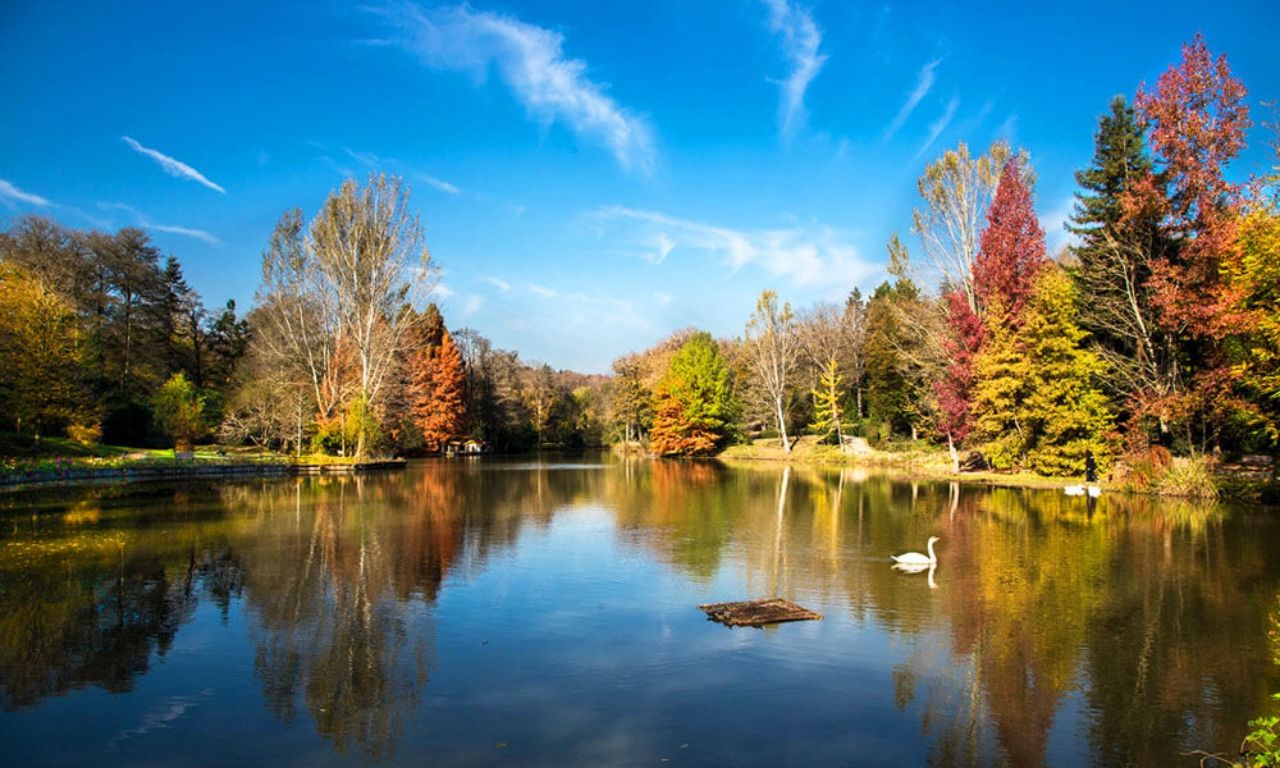 Sonbahar’ın en güzel renkleri: Atatürk Arboretumu 6
