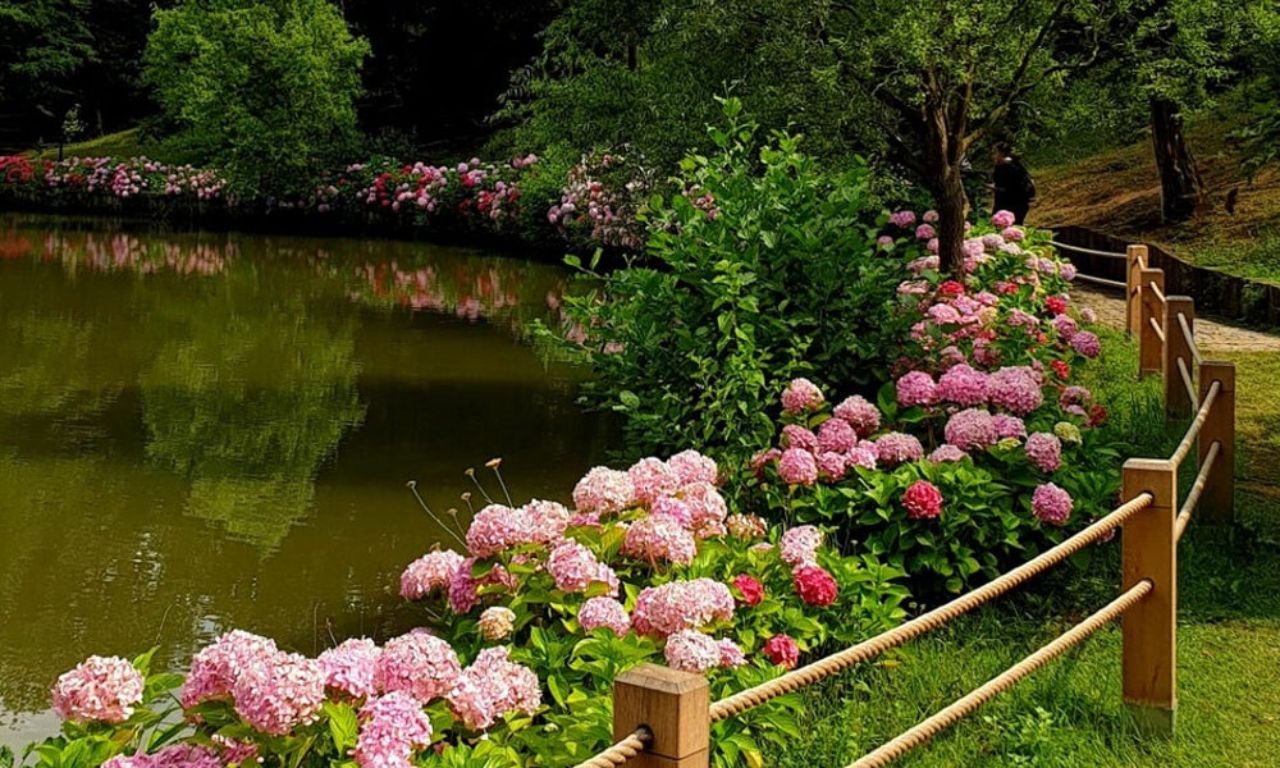Sonbahar’ın en güzel renkleri: Atatürk Arboretumu 7