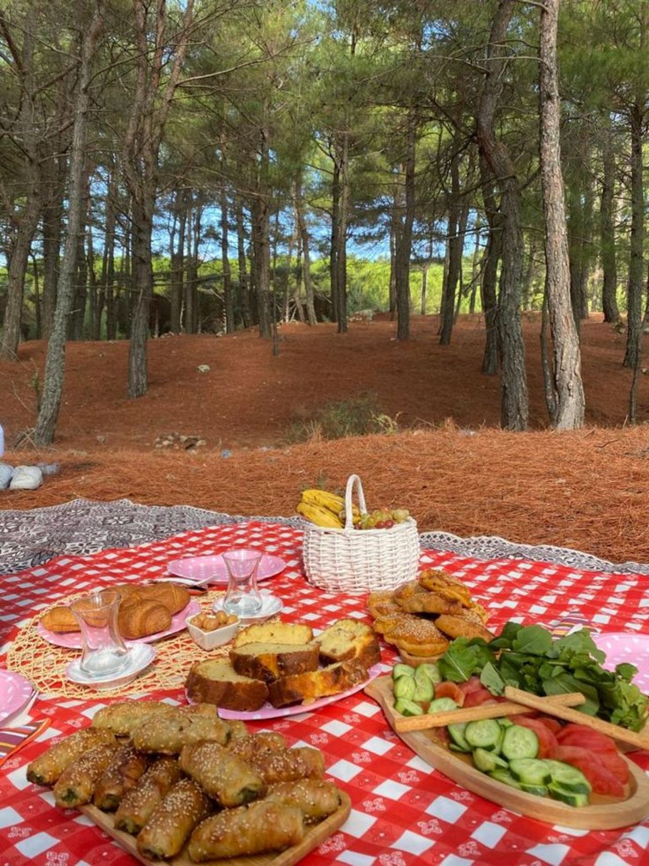 Beykoz piknik alanları: Beykoz’un en güzel piknik alanları 1