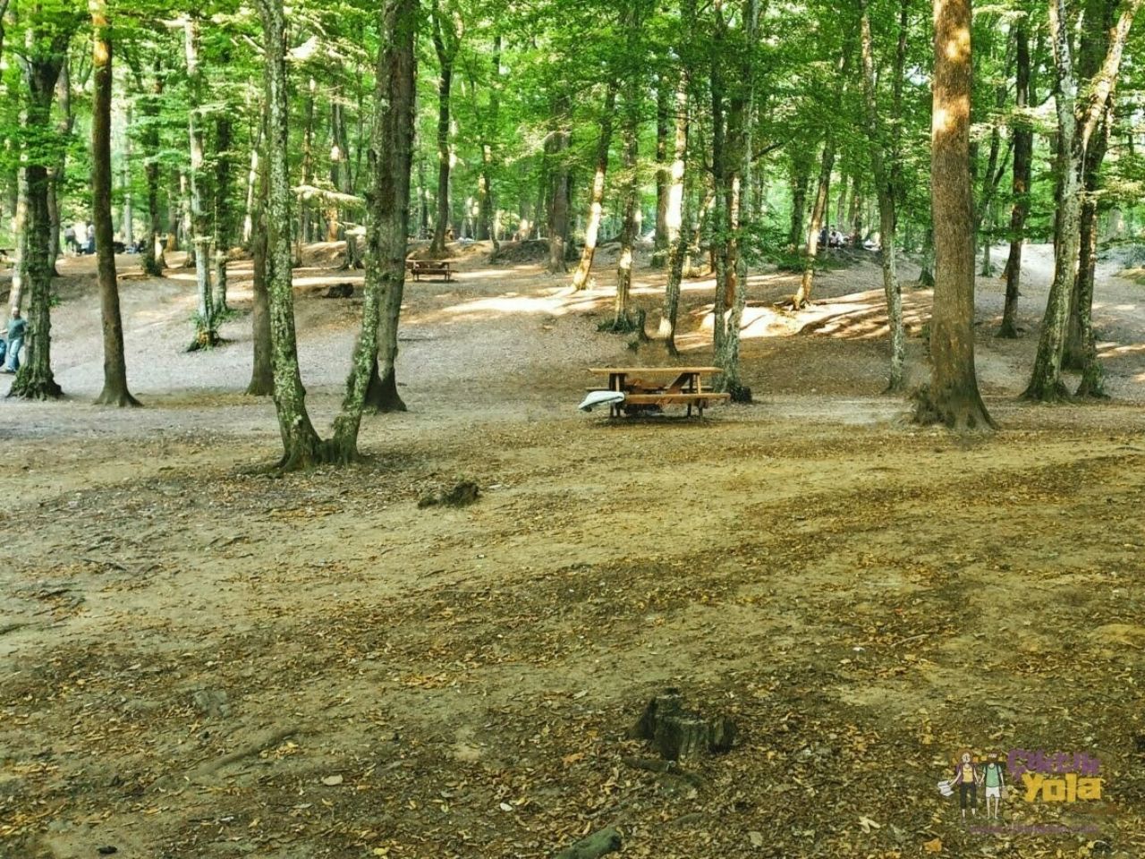 Beykoz piknik alanları: Beykoz’un en güzel piknik alanları 4