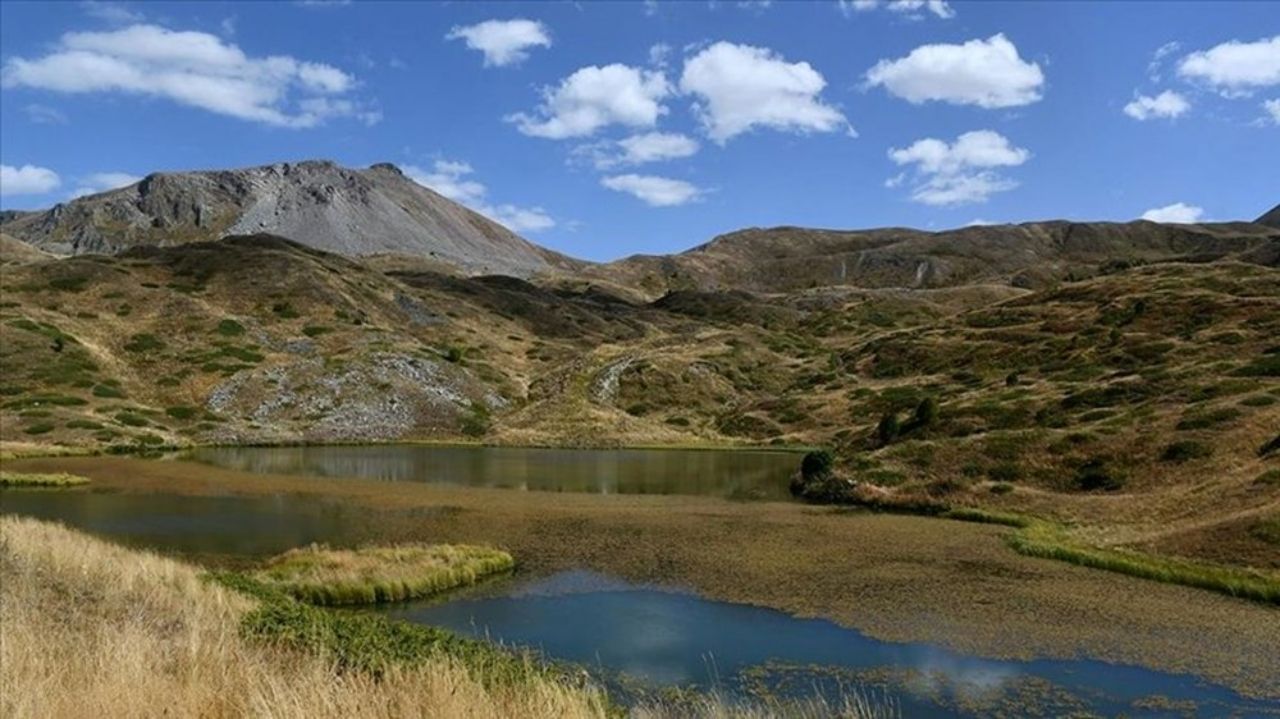 Doğaseverlerin buluşma noktası: Artvin Arsiyan Yaylası 1