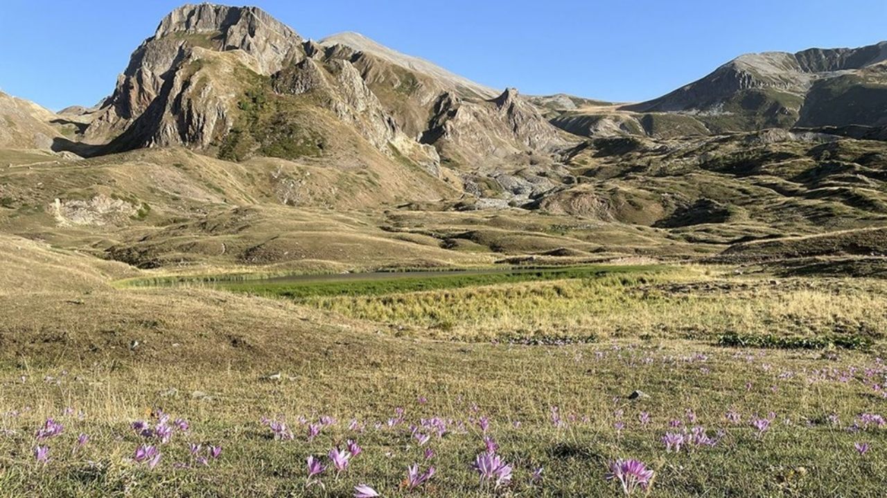 Doğaseverlerin buluşma noktası: Artvin Arsiyan Yaylası 4