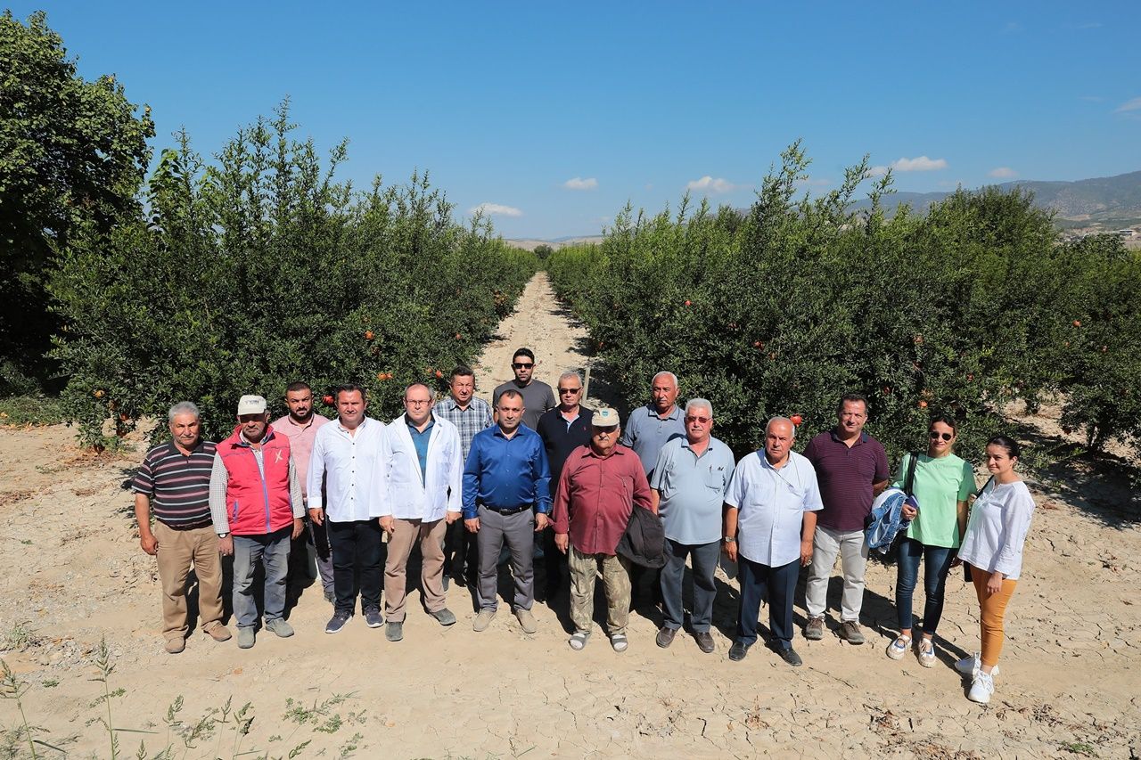Denizli’de ‘Toprağını Tanı’ projesi ile düşük maliyetli ve yüksek verimli ürünler elde edilecek 2