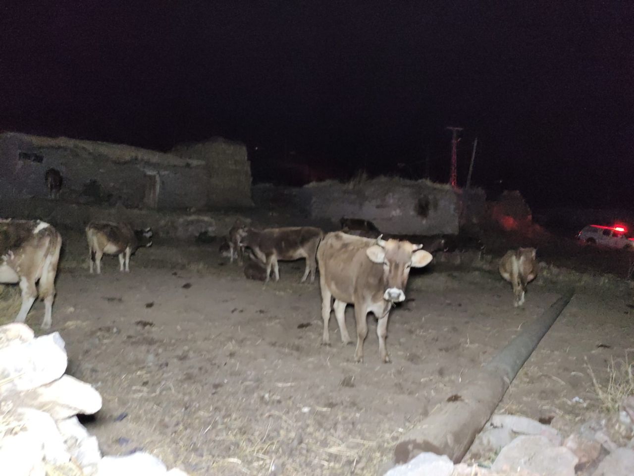 Göle’de deprem paniği: Vatandaşlar geceyi sokakta geçirdi 7