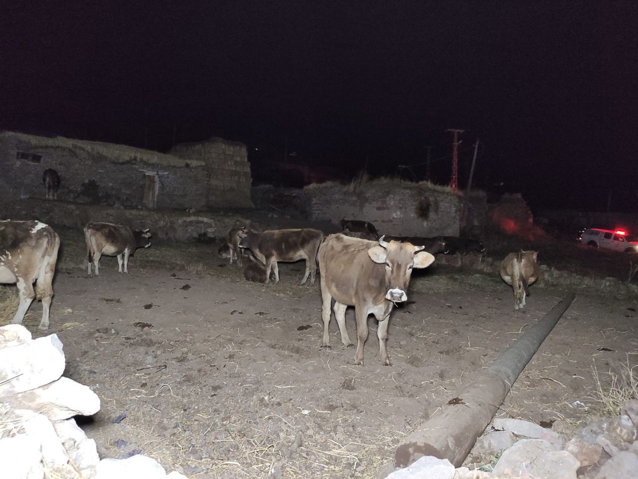 Göle’de deprem paniği: Vatandaşlar geceyi sokakta geçirdi 9