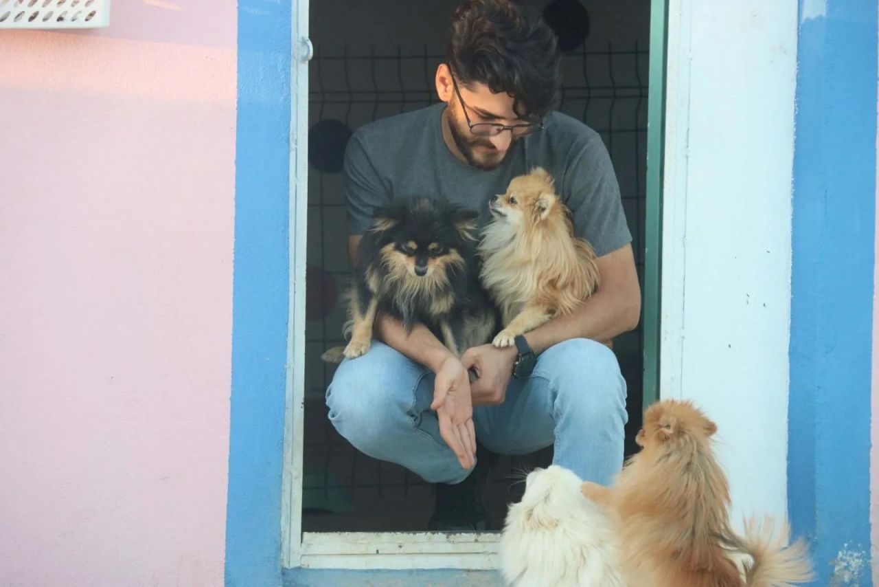 Diyarbakır’da bir girişimcinin ‘Pomeranian’ sevdası 2 milyon liralık servete dönüştü 10