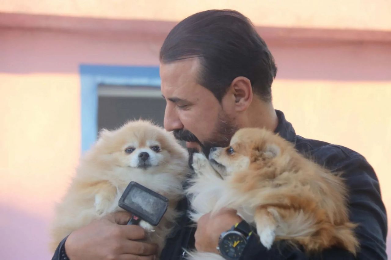 Diyarbakır’da bir girişimcinin ‘Pomeranian’ sevdası 2 milyon liralık servete dönüştü 2