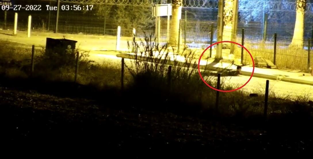 Polisevi saldırısında yaralanan polis konuştu 9