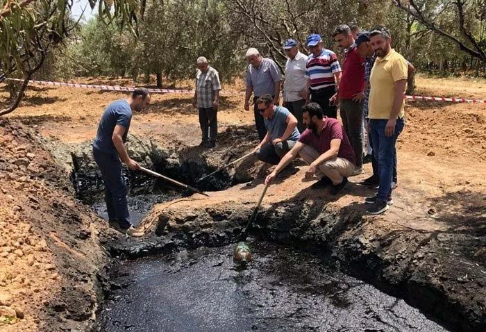 Tarlasından servet çıktı: 50 milyon dolar teklif ettiler! 8