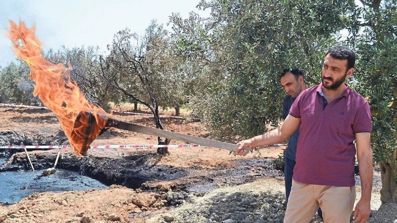 Tarlasından servet çıktı: 50 milyon dolar teklif ettiler! 7