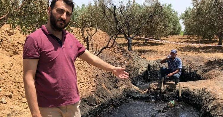 Tarlasından servet çıktı: 50 milyon dolar teklif ettiler! 1