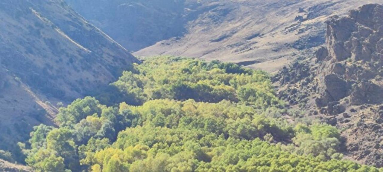 Sonbahar’ın en güzel manzarası: Erzurum Bal kayaları vadisi 2