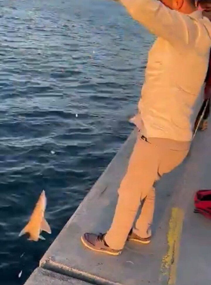 Beykoz'da ilginç anlar! Balık tutan vatandaşın oltasına köpek balığı takıldı! 2