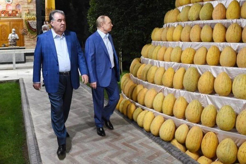 Putin'in 70. doğum günü Çeçenistan'da coşkuyla kutlandı! Putin'e bir kamyon dolusu hediye verildi! 2