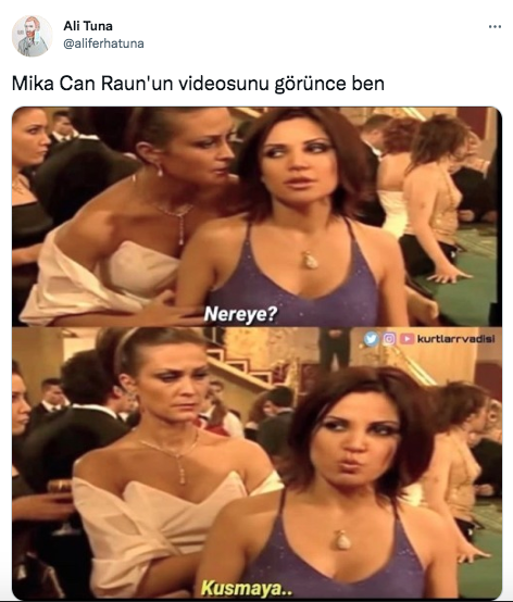 Türk lirasını klozete atmıştı! Sosyal medyada Mika Can Raun'a tepki yağdı 9