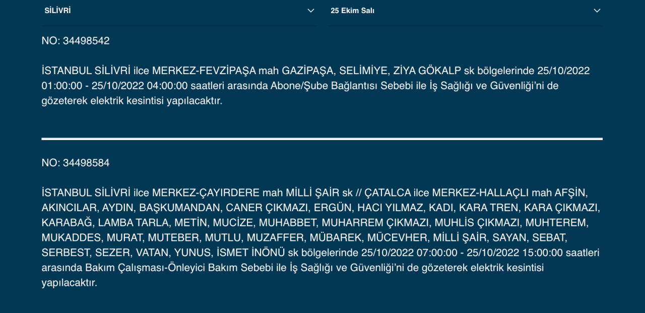 İstanbul’un çok sayıda ilçesinde elektrik kesintisi! (25 EKİM SALI 2022) 32