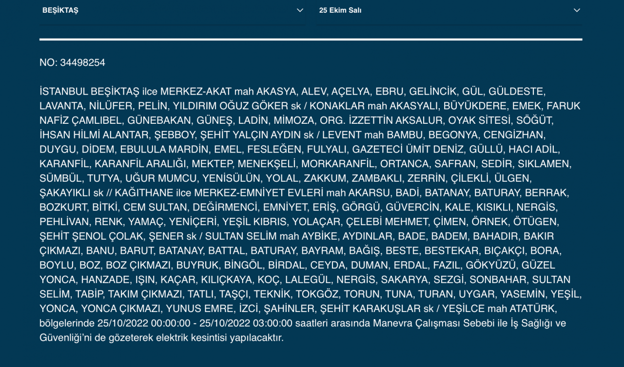 İstanbul’un çok sayıda ilçesinde elektrik kesintisi! (25 EKİM SALI 2022) 15
