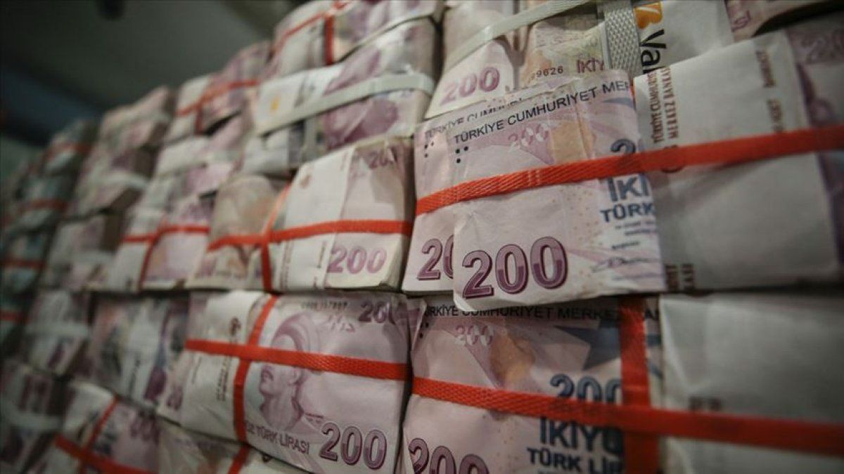 Dünyaca ünlü ekonomistten çarpıcı Türkiye yorumu! 1