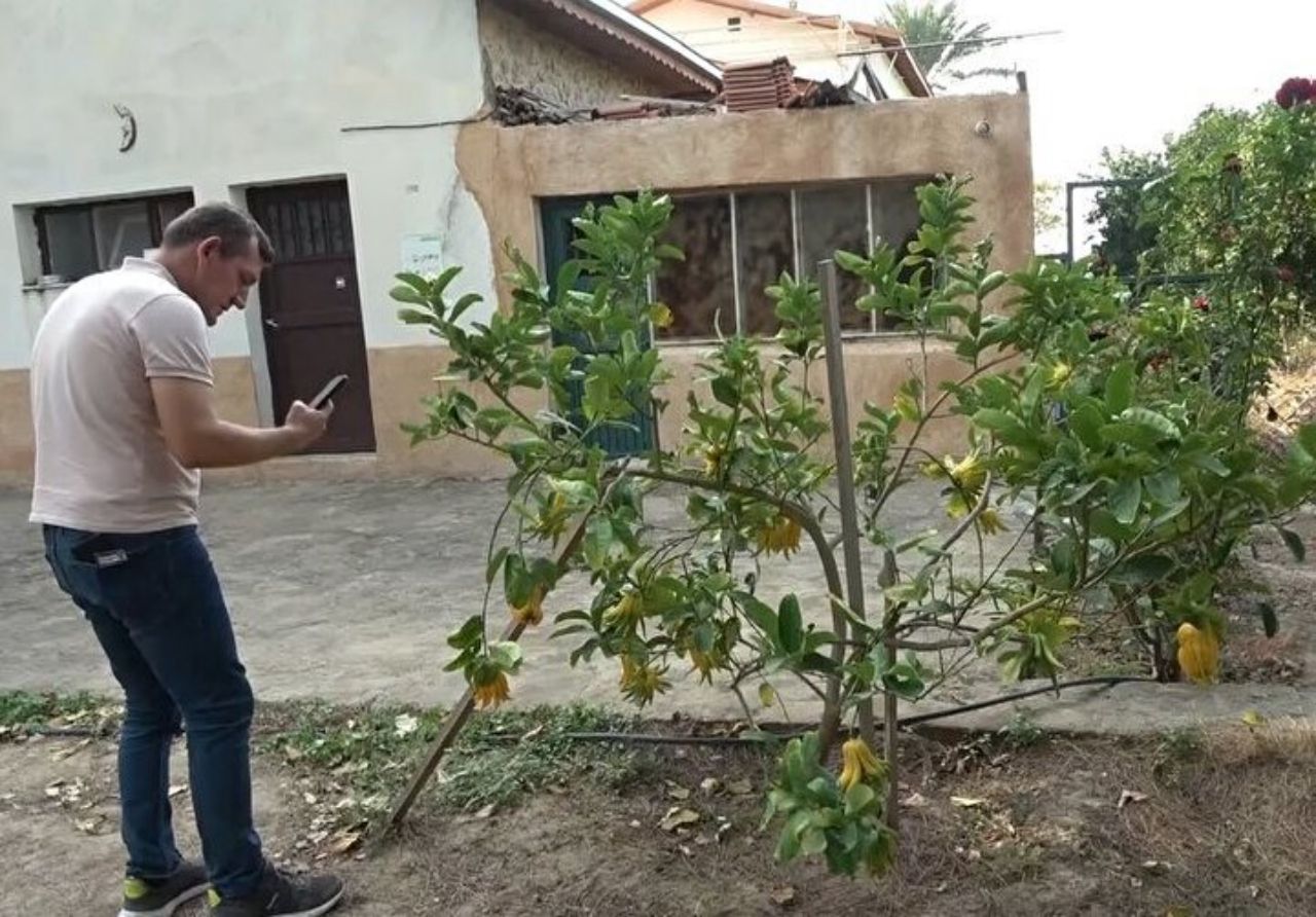 Limon sanıp bahçesine diktiği parmak meyve, şifa deposu çıktı! İşte dünyanın en tuhaf bitki ve meyveleri 1