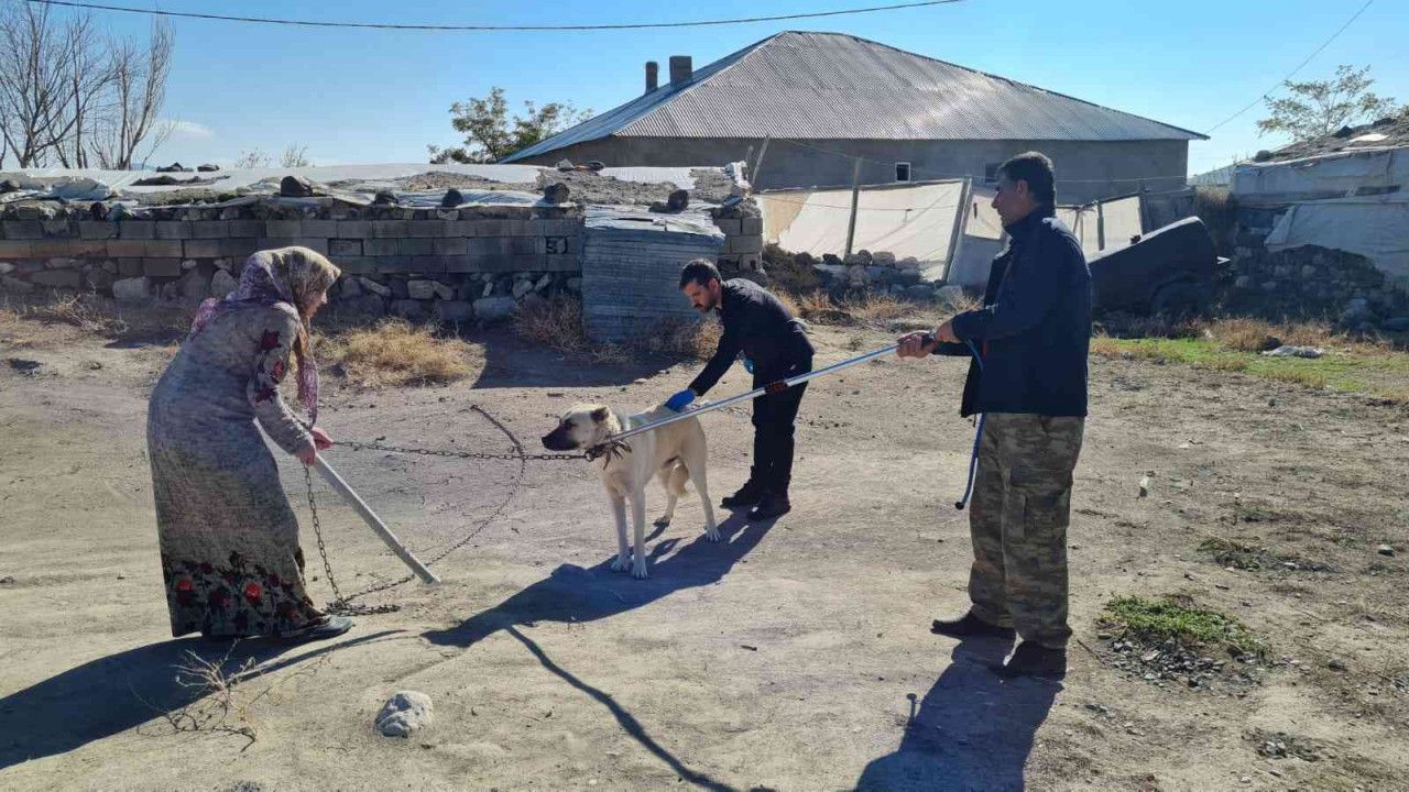 Kuduz vakasında flaş gelişme! Hastaneden açıklama geldi 4