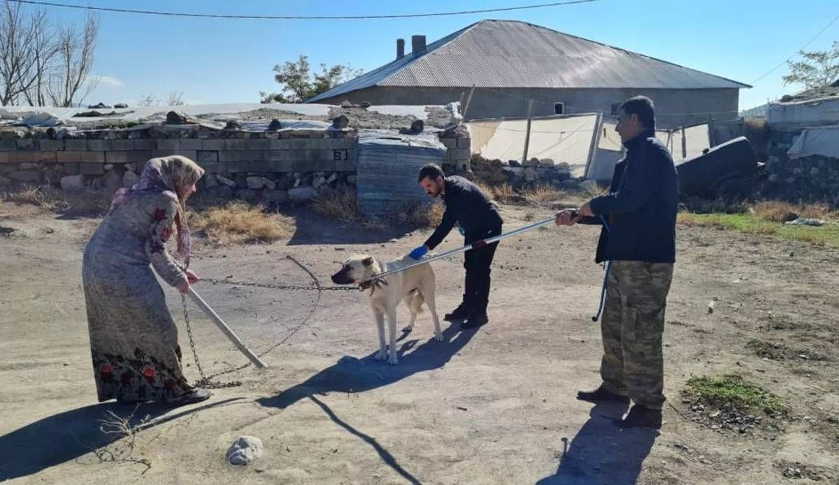 Kuduz vakasında flaş gelişme! Hastaneden açıklama geldi 1