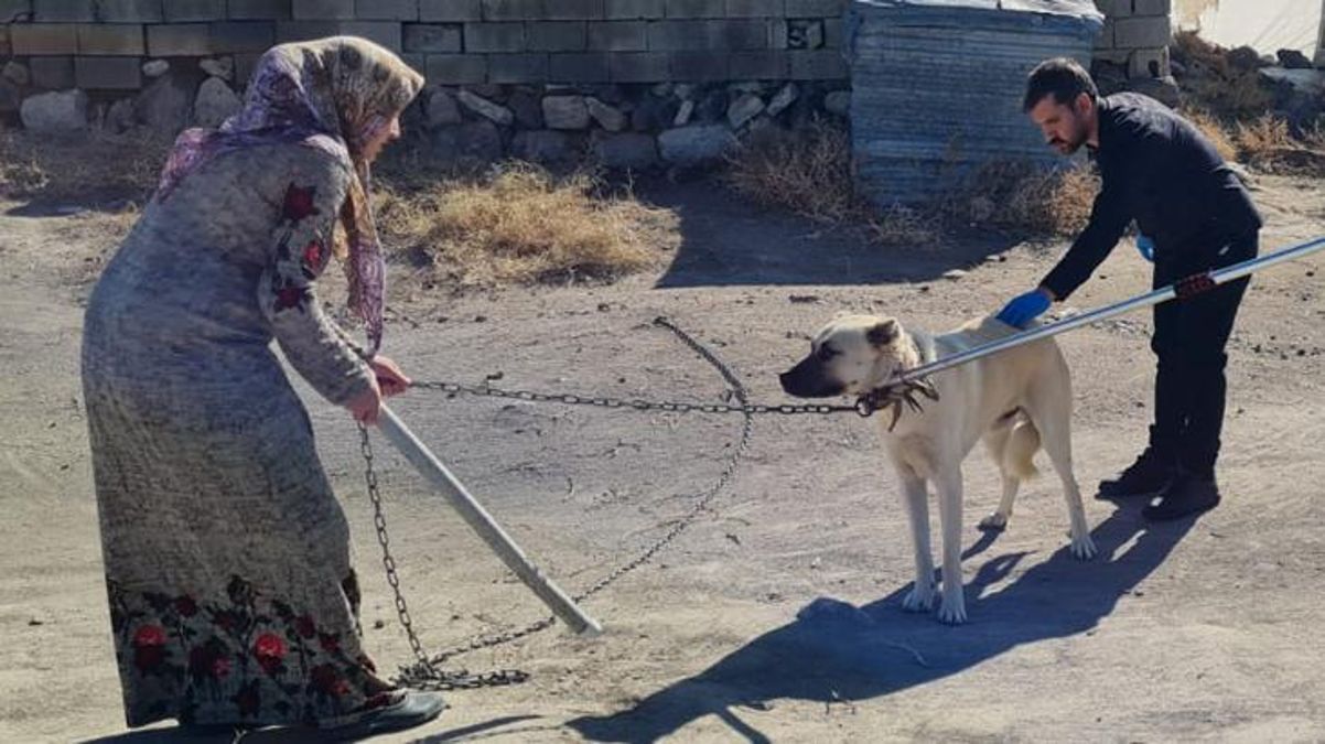Kuduz vakasında flaş gelişme! Hastaneden açıklama geldi 5