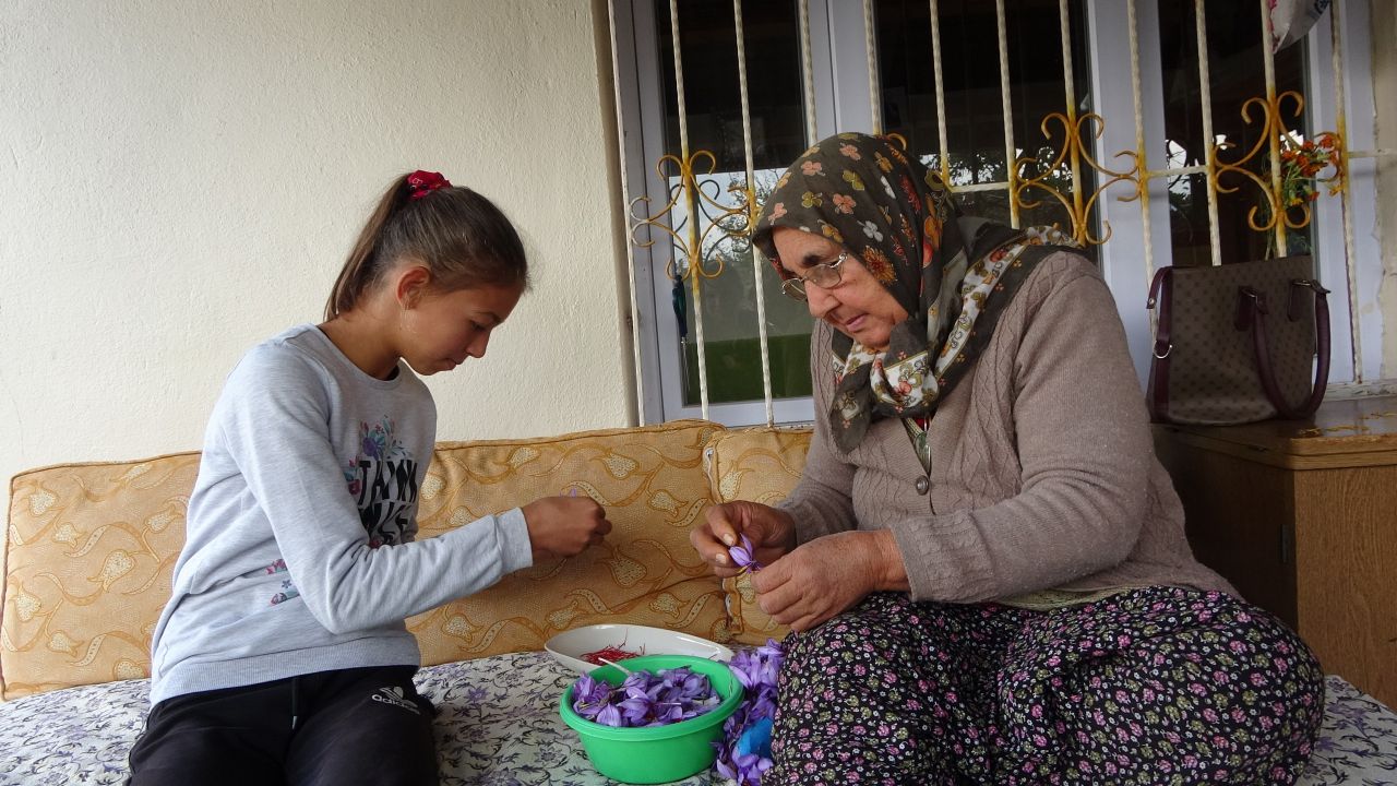 İki dönüm arazide yetiştiriliyor, sadece 500 gram ürün çıkıyor 3
