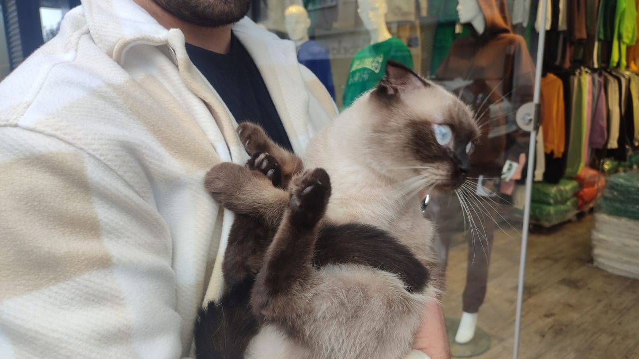 Güngören'de 3. kattan düşen kediyi havada yakaladı 3