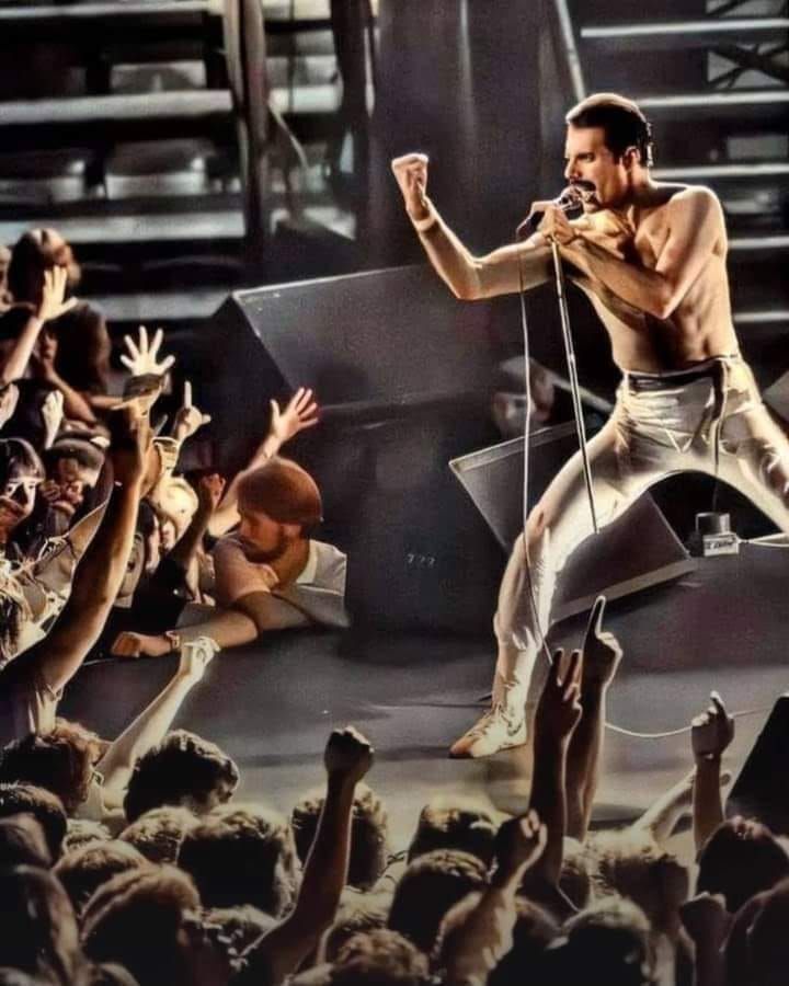 Efsanevi müzisyen Freddie Mercury ölüm yıl dönümünde unutulmadı... Sevgilisiyle çekilen görülmemiş fotoğrafları gündem oldu 21