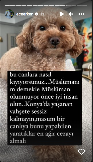 Konya'daki vahşet görüntüleri sosyal medyayı ayağa kaldırdı! Ünlü isimlerden tepki üstüne tepki yağdı 45