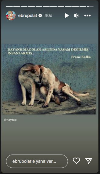Konya'daki vahşet görüntüleri sosyal medyayı ayağa kaldırdı! Ünlü isimlerden tepki üstüne tepki yağdı 42