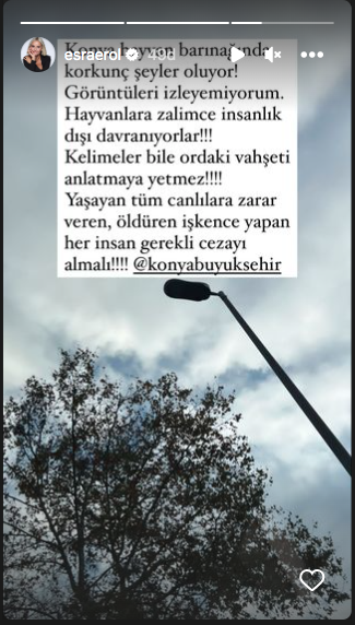 Konya'daki vahşet görüntüleri sosyal medyayı ayağa kaldırdı! Ünlü isimlerden tepki üstüne tepki yağdı 37