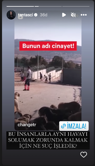 Konya'daki vahşet görüntüleri sosyal medyayı ayağa kaldırdı! Ünlü isimlerden tepki üstüne tepki yağdı 34