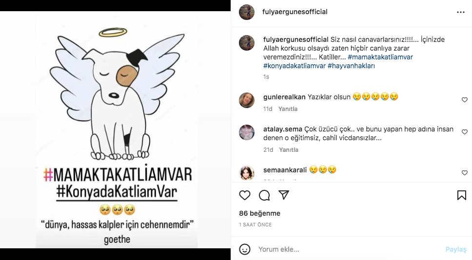 Konya'daki vahşet görüntüleri sosyal medyayı ayağa kaldırdı! Ünlü isimlerden tepki üstüne tepki yağdı 26