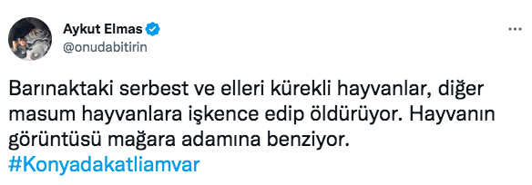 Konya'daki vahşet görüntüleri sosyal medyayı ayağa kaldırdı! Ünlü isimlerden tepki üstüne tepki yağdı 25