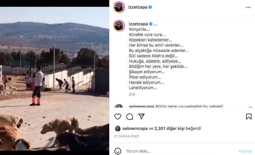 Konya'daki vahşet görüntüleri sosyal medyayı ayağa kaldırdı! Ünlü isimlerden tepki üstüne tepki yağdı 18