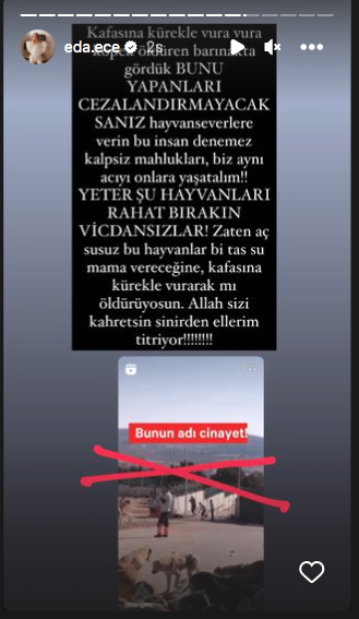Konya'daki vahşet görüntüleri sosyal medyayı ayağa kaldırdı! Ünlü isimlerden tepki üstüne tepki yağdı 32