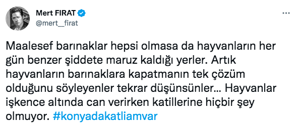Konya'daki vahşet görüntüleri sosyal medyayı ayağa kaldırdı! Ünlü isimlerden tepki üstüne tepki yağdı 28