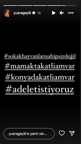 Konya'daki vahşet görüntüleri sosyal medyayı ayağa kaldırdı! Ünlü isimlerden tepki üstüne tepki yağdı 35