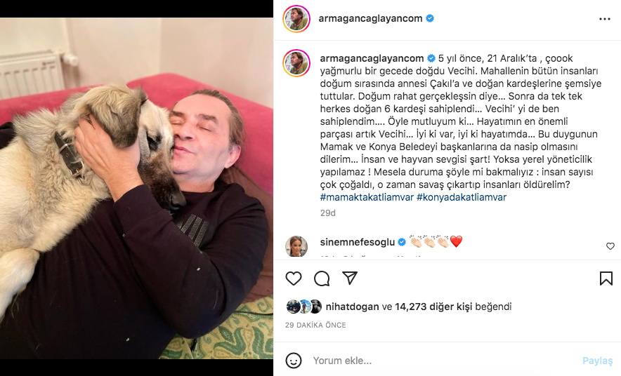 Konya'daki vahşet görüntüleri sosyal medyayı ayağa kaldırdı! Ünlü isimlerden tepki üstüne tepki yağdı 12
