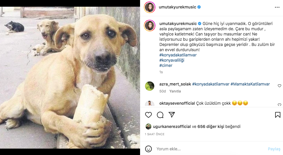 Konya'daki vahşet görüntüleri sosyal medyayı ayağa kaldırdı! Ünlü isimlerden tepki üstüne tepki yağdı 8